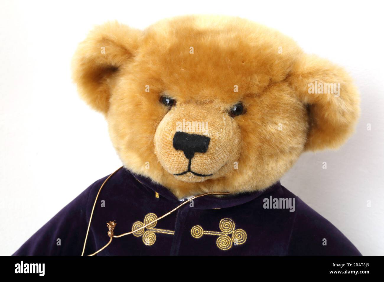 Harrod's Special Edition Millennium 2000 Teddybär mit lila und goldenen Jacke Stockfoto