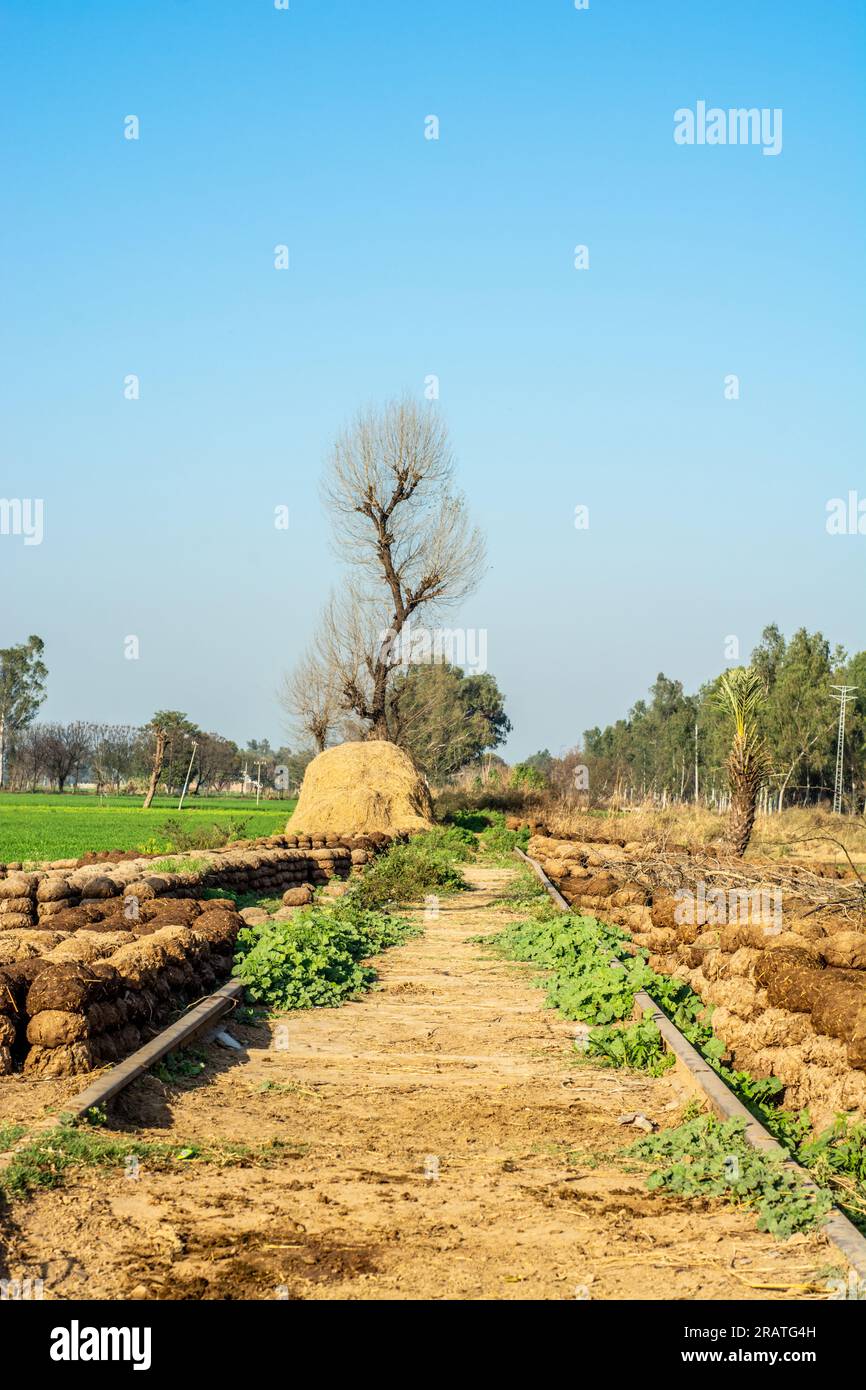 Kuhdungkuchen, die als Biobrennstoff neben der reichlich vorhandenen Eisenbahnstrecke in der Nähe der Grenze zu Indien Pakistan verwendet werden Stockfoto