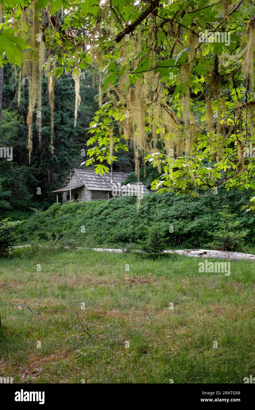 WA24530-00....WASHINGTON - Elkhorn Ranger Hütte entlang des Elwha River Trail im Olympic National Park. Stockfoto