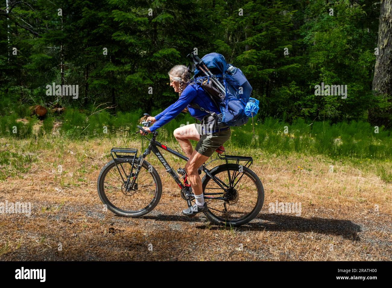 WA24533-00....WASHINGTON - Vicky Spring Radtour mit Rucksack auf der geschlossenen Elwha River Road zum Whisky Bend Trail Head im Olympic National Park. Stockfoto