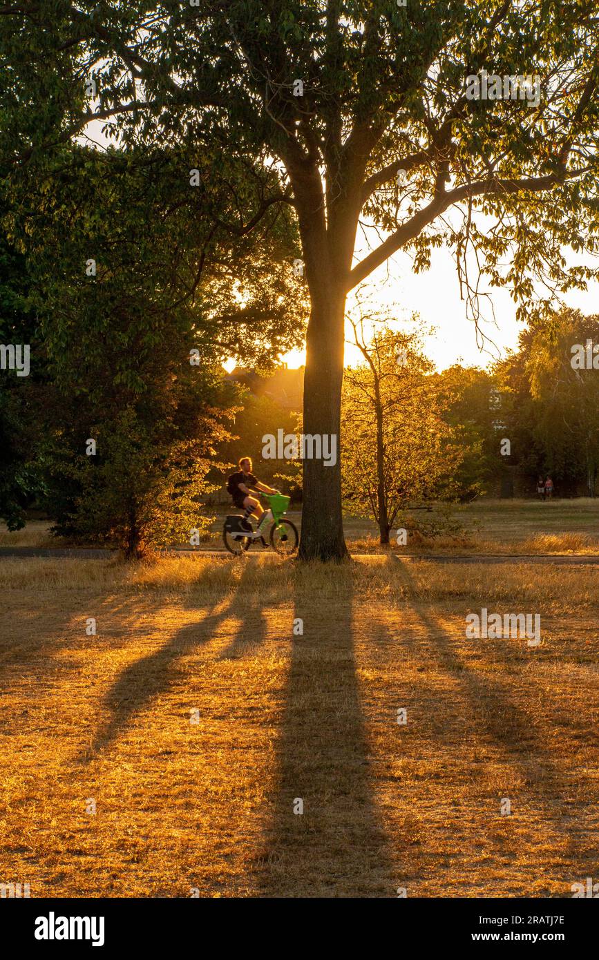 Ein Mädchen fährt ein Limettenrad im Park, wenn die Sonne untergeht Stockfoto