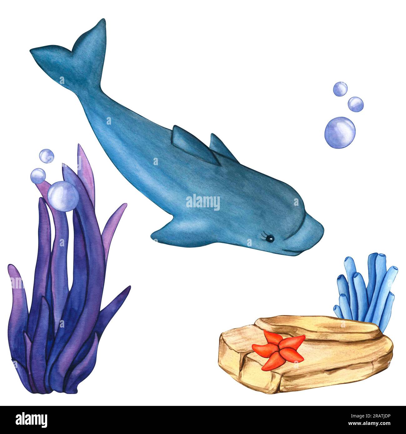 Aquarelle Delfine, Steine, Seesterne, Blasen, blaue und violette Algen. Illustrationen Unterwassergras- und Felssammlung, Naturlandschaft Stockfoto