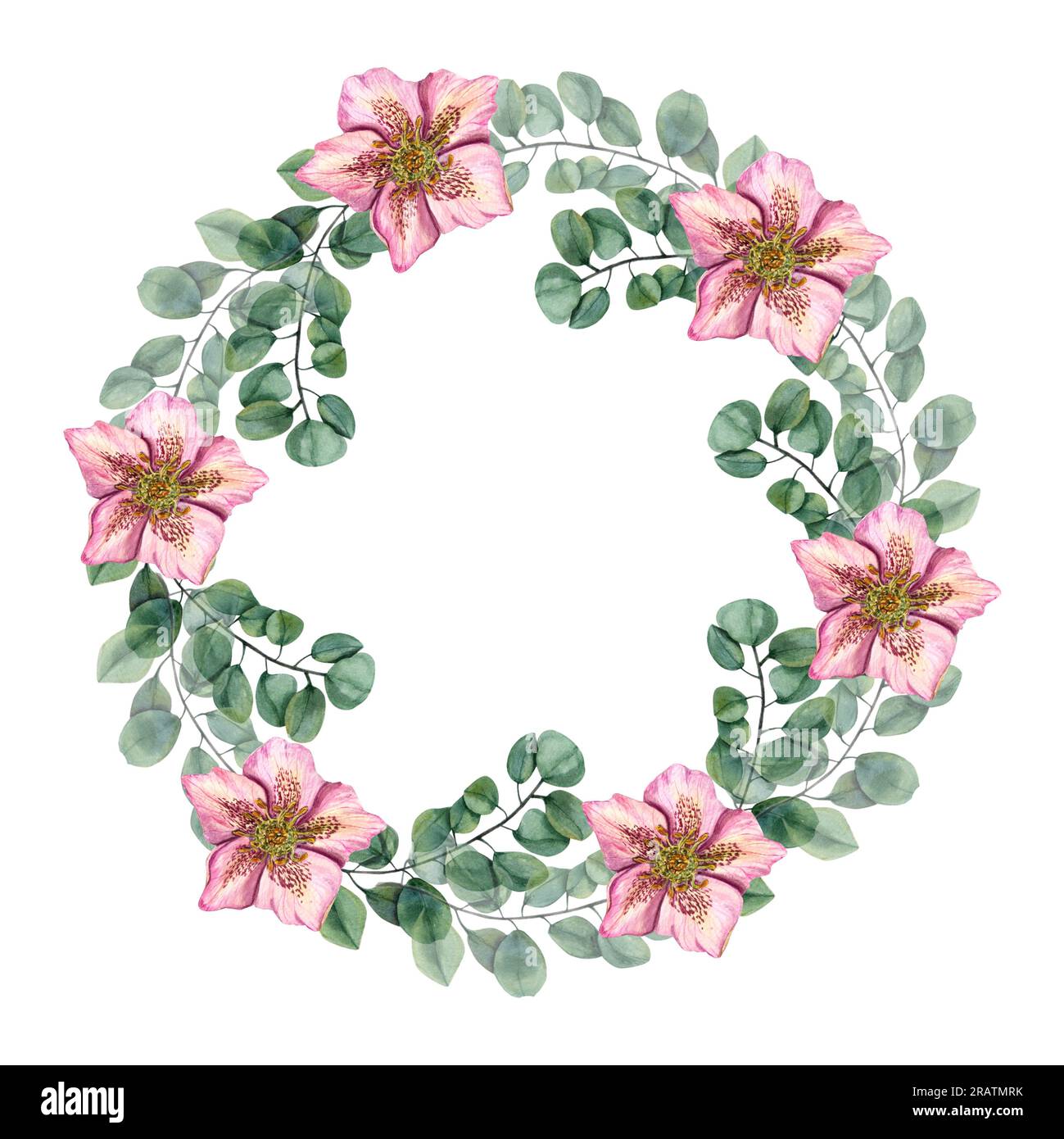 Kranz mit rosa Hellebores, Eukalyptuszweige auf weiß isoliert. Aquarelle Illustration für Postkartendesign, Einladungsvorlage, Valentinstag Stockfoto