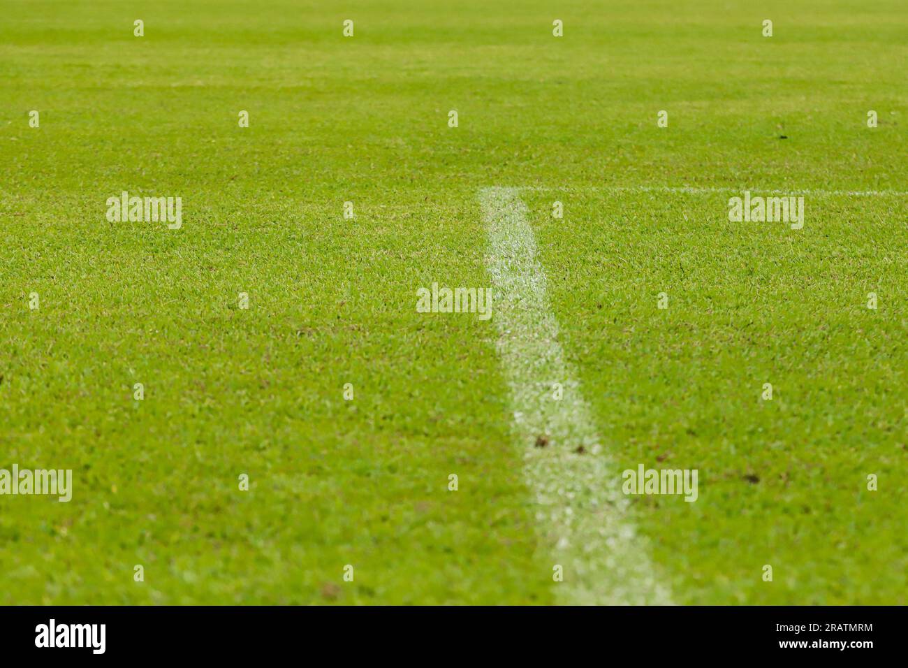 Gras eines Fußballfelds mit Blick in Bodennähe, mit weißen Linien, die typisch für die Veranstaltungsorte des Sports sind. Stockfoto