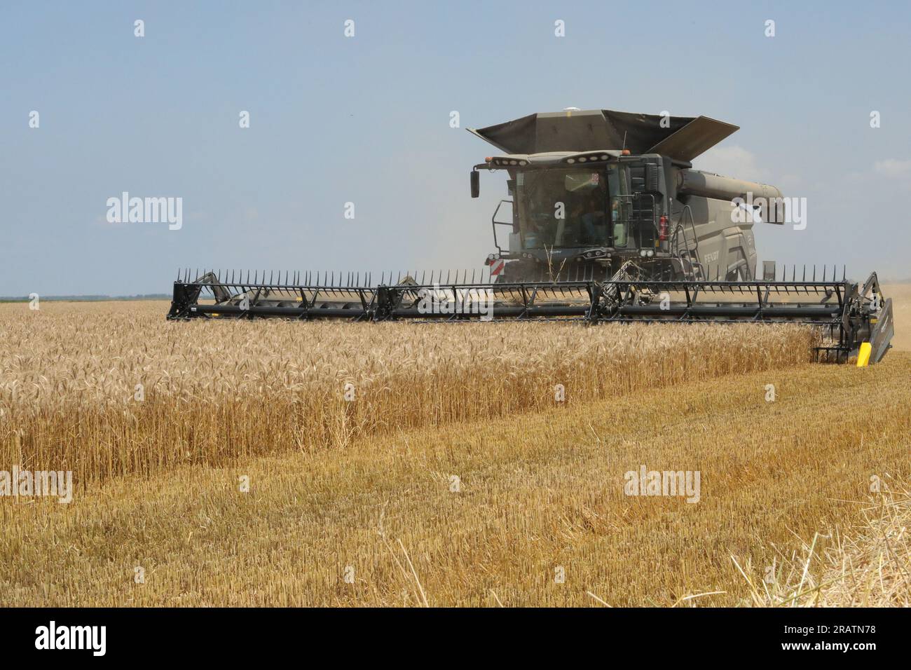 Mähdrescher Fendt ideal 8T bei der Ernte auf dem Ackerland des Unternehmens Vupik in Osijek, Kroatien, am 5. Juli 2023. Es ist die größte Erntemaschine in Kroatien. Er hat eine Schneidwerklänge von 12,5 Metern, was doppelt so lang ist wie die durchschnittlichen Schneidwerke für Mähdrescher. Er zeichnet sich durch hervorragende technologische Lösungen aus, darunter die Kombination von Rädern und Laufketten, die zu einer geringeren Bodenverdichtung während der Ernte führt. Zu den vielen Vorteilen und Innovationen gehört die vollständige Nutzung von Stroh. Der Fendt ideal 8T ist speziell für sein schwarzes Erscheinungsbild und seine Abmessungen, weshalb er Stockfoto