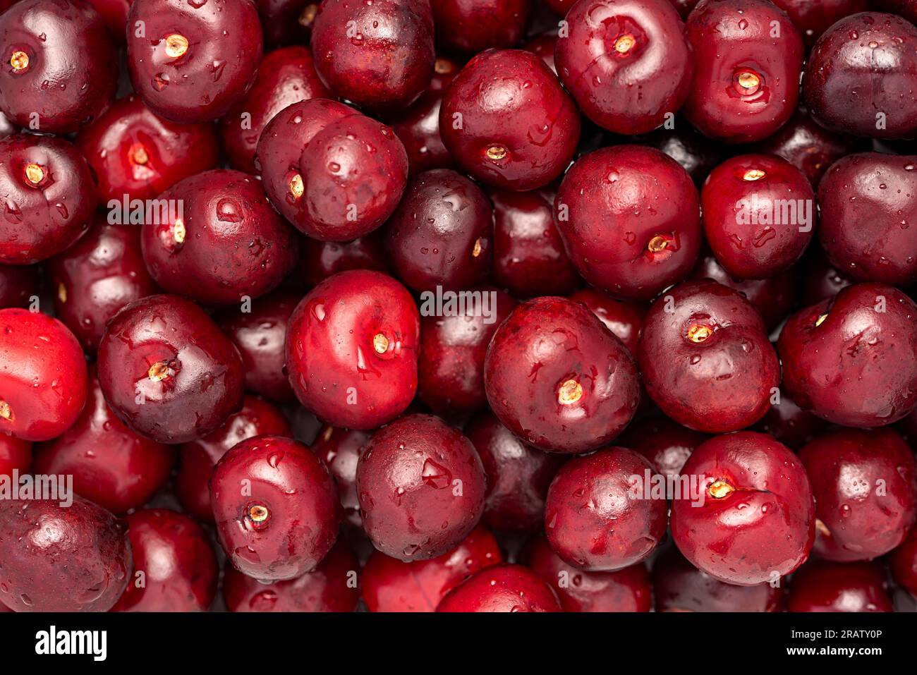 Fotografie von picotas Kirsche, Beere, Obst, frisch, Ernährung, Frische, Nährstoffe, rot, vegetarisch, Diät, Köstlich, natürlich, Vitamin Stockfoto