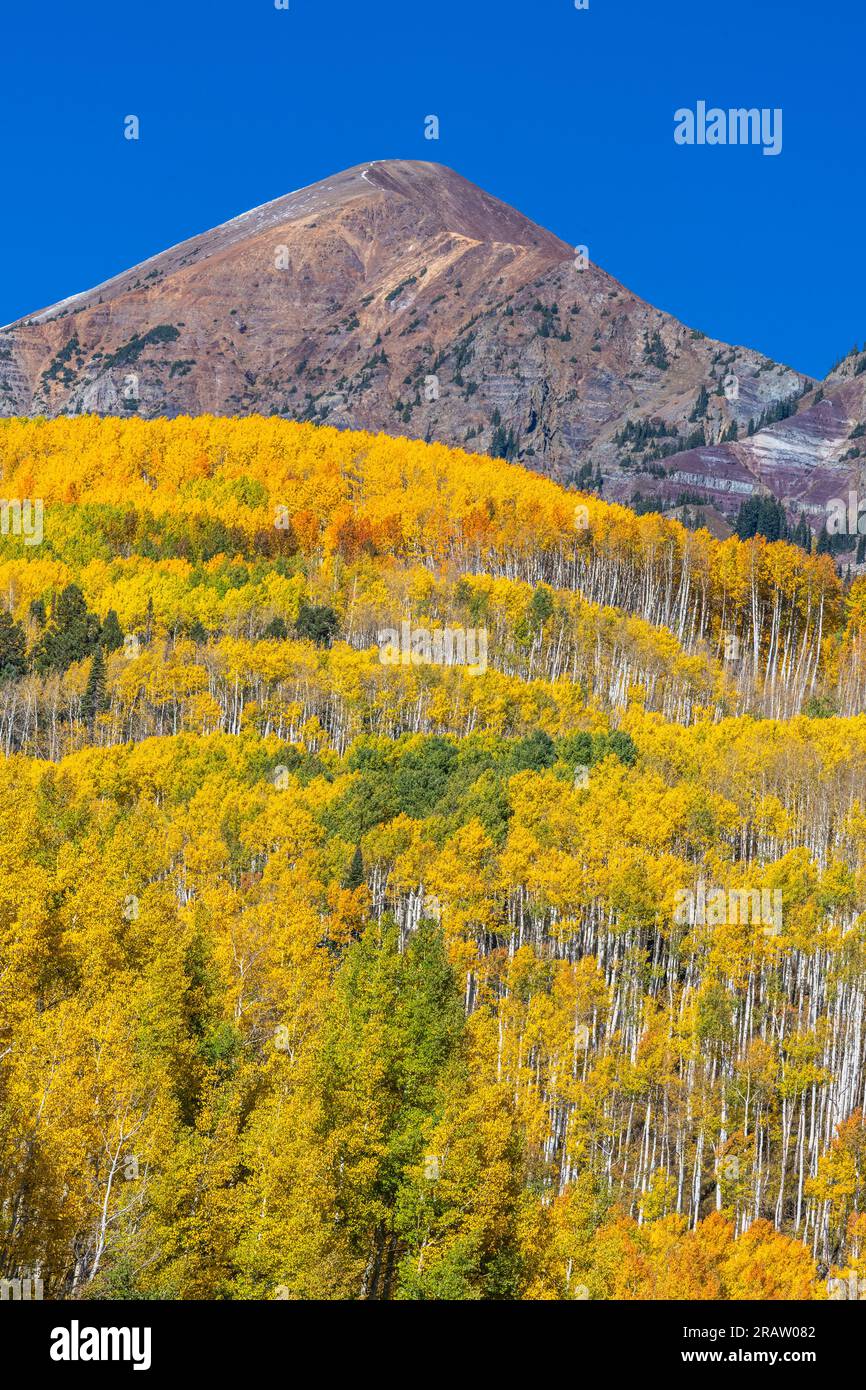 Herbstfarben in Colorado entlang der Kebler Pass Road in den West Elk Mountains. Stockfoto