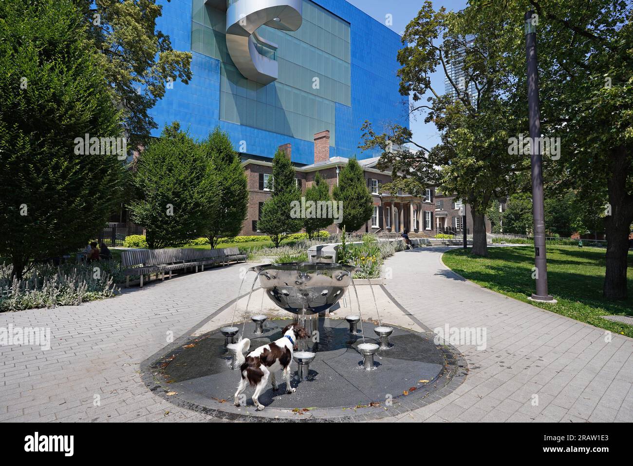 Dieser Brunnen im Park hinter der Art Gallery of Ontario ist ein guter Ort für Hunde, um an einem heißen Tag zu trinken Stockfoto