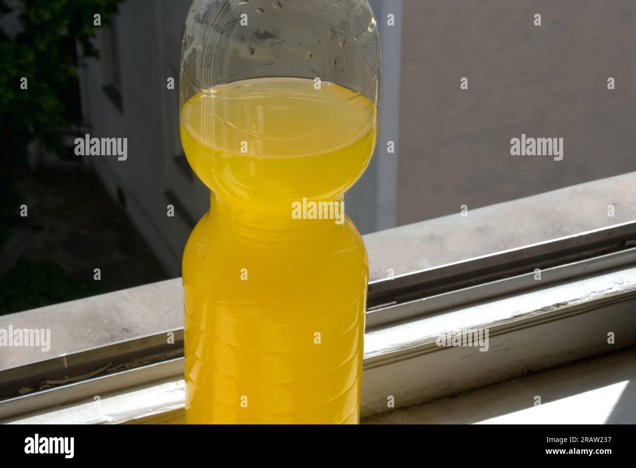 Eine Flasche eines orangefarbenen Energy Drinks mit verschwommenem Naturhintergrund. Selektiver Fokus Stockfoto