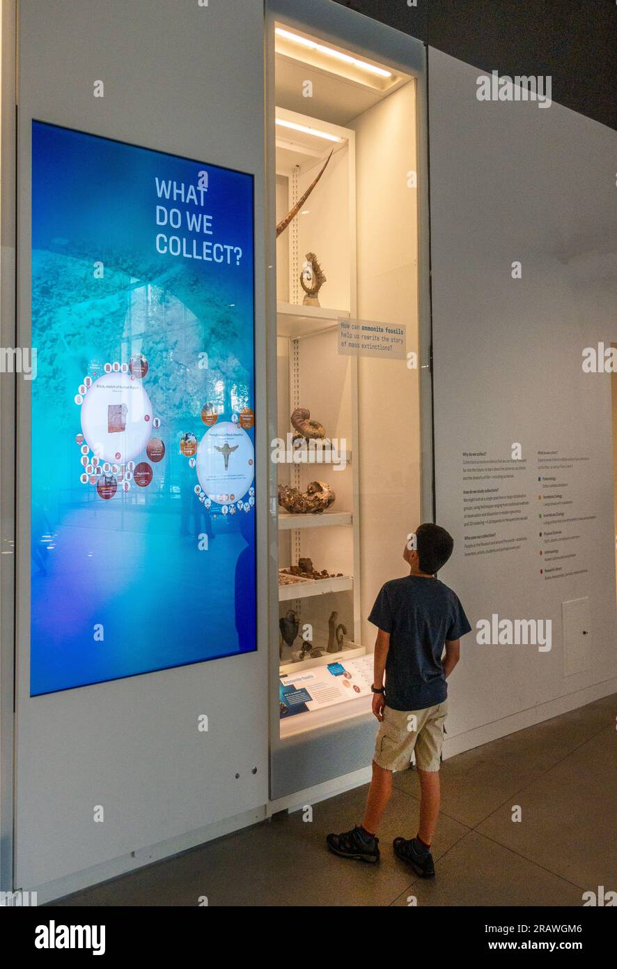 Das Gilder Center im American Museum of Natural History im oberen Westen von Manhattan NYC Stockfoto