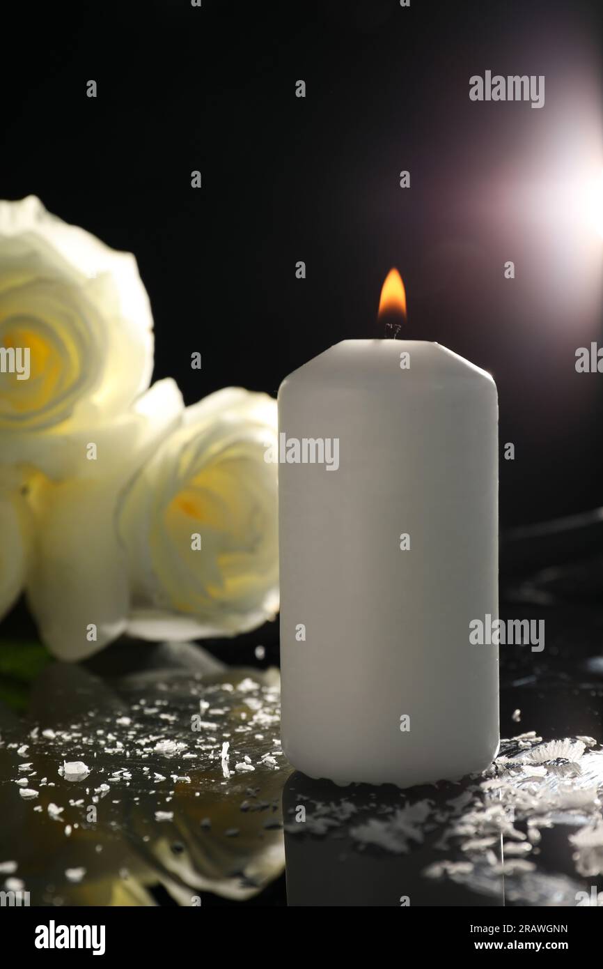 Weiße Rosen und brennende Kerze auf schwarzer Spiegeloberfläche in der Dunkelheit, Nahaufnahme. Begräbnissymbole Stockfoto