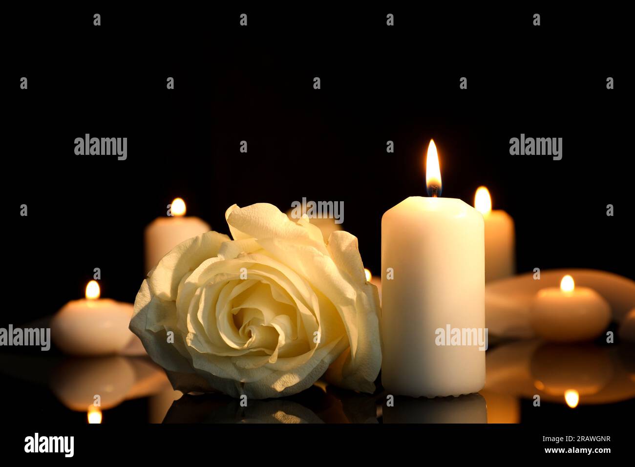 Weiße Rose und brennende Kerzen auf schwarzer Spiegeloberfläche bei Dunkelheit, Nahaufnahme mit Platz für Text. Begräbnissymbole Stockfoto