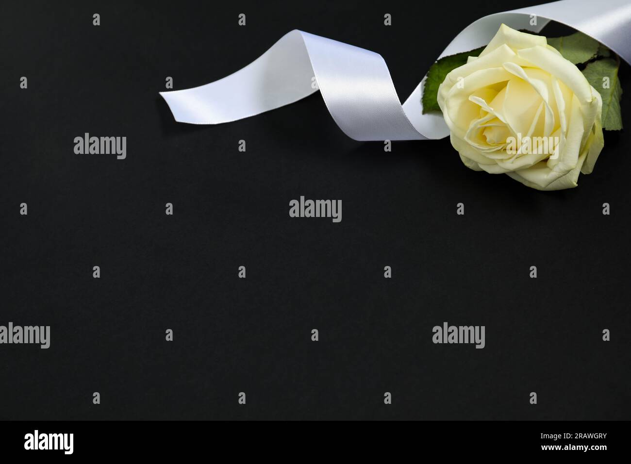 Wunderschönes rosa-weißes Band auf schwarzem Hintergrund, Platz für Text. Begräbnissymbole Stockfoto