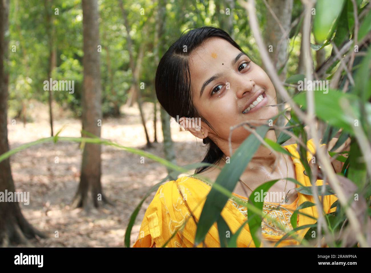 Porträt eines Indianers, der hinter einem Baum steht. Stockfoto