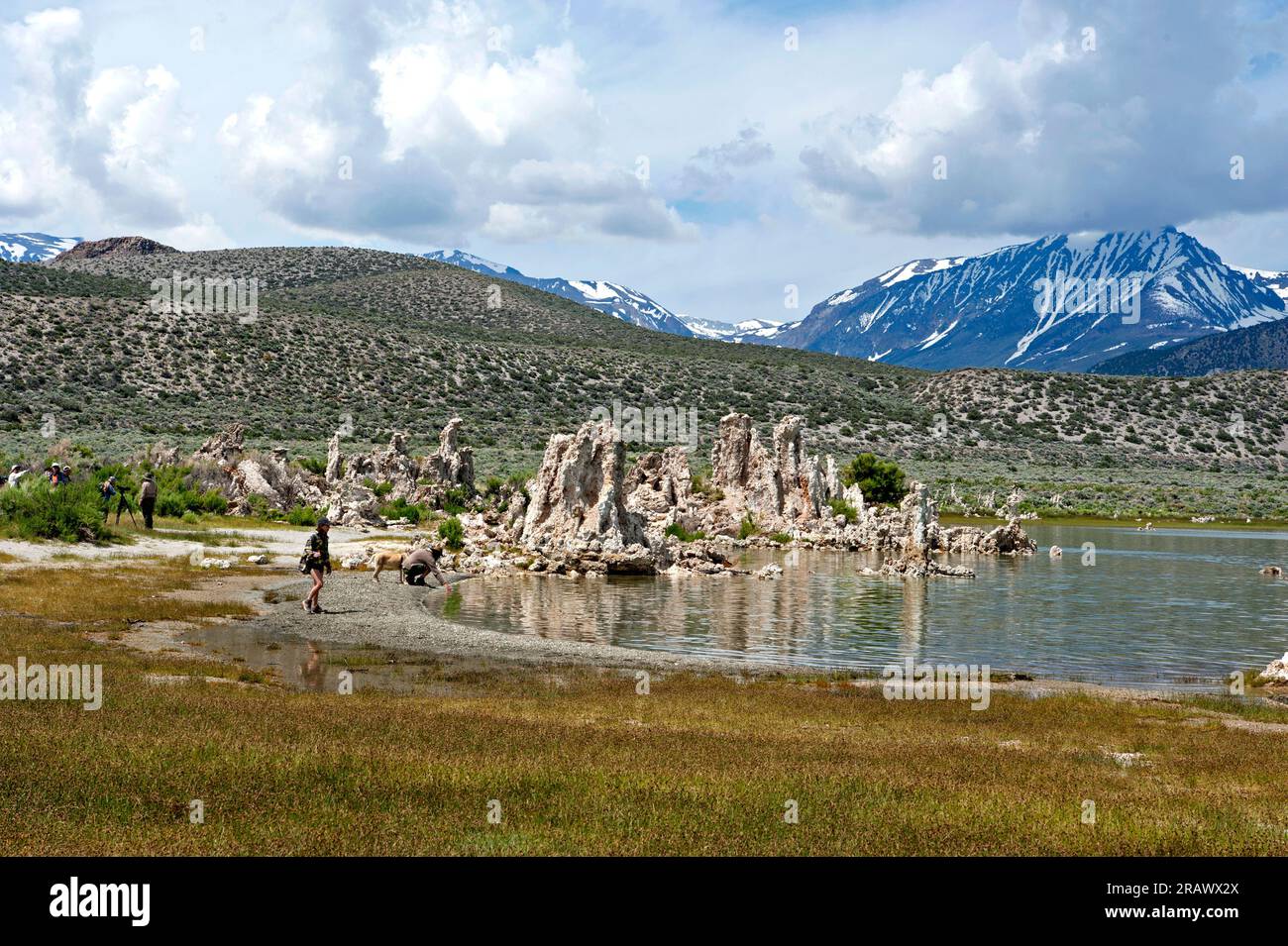 Tufas und rückläufiges Wasser mit den Bergen der Sierra Nevada im Hintergrund am Mono Lake, Kalifornien, USA Stockfoto