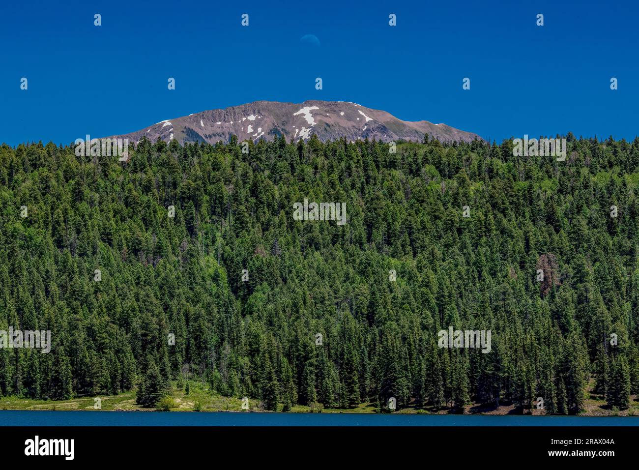 Williams Reservoir und Creek liegen in der Wildnis zwischen Pagosa Springs und Lake City Stockfoto