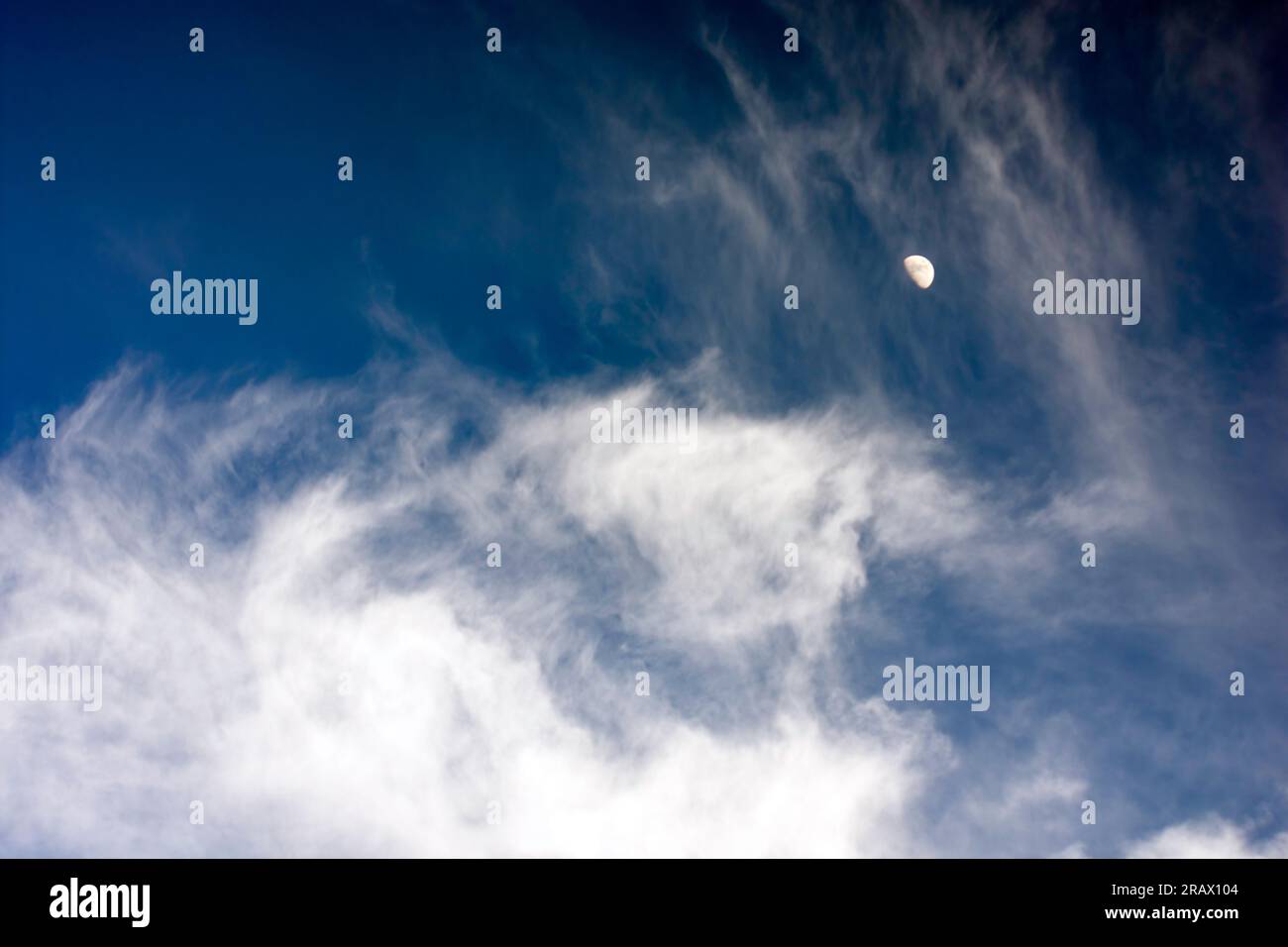 Dramatischer Himmelsersatz mit weichen weißen Wolken vor einem dunkelblauen Himmel mit einem Halbmond sichtbar. Stockfoto
