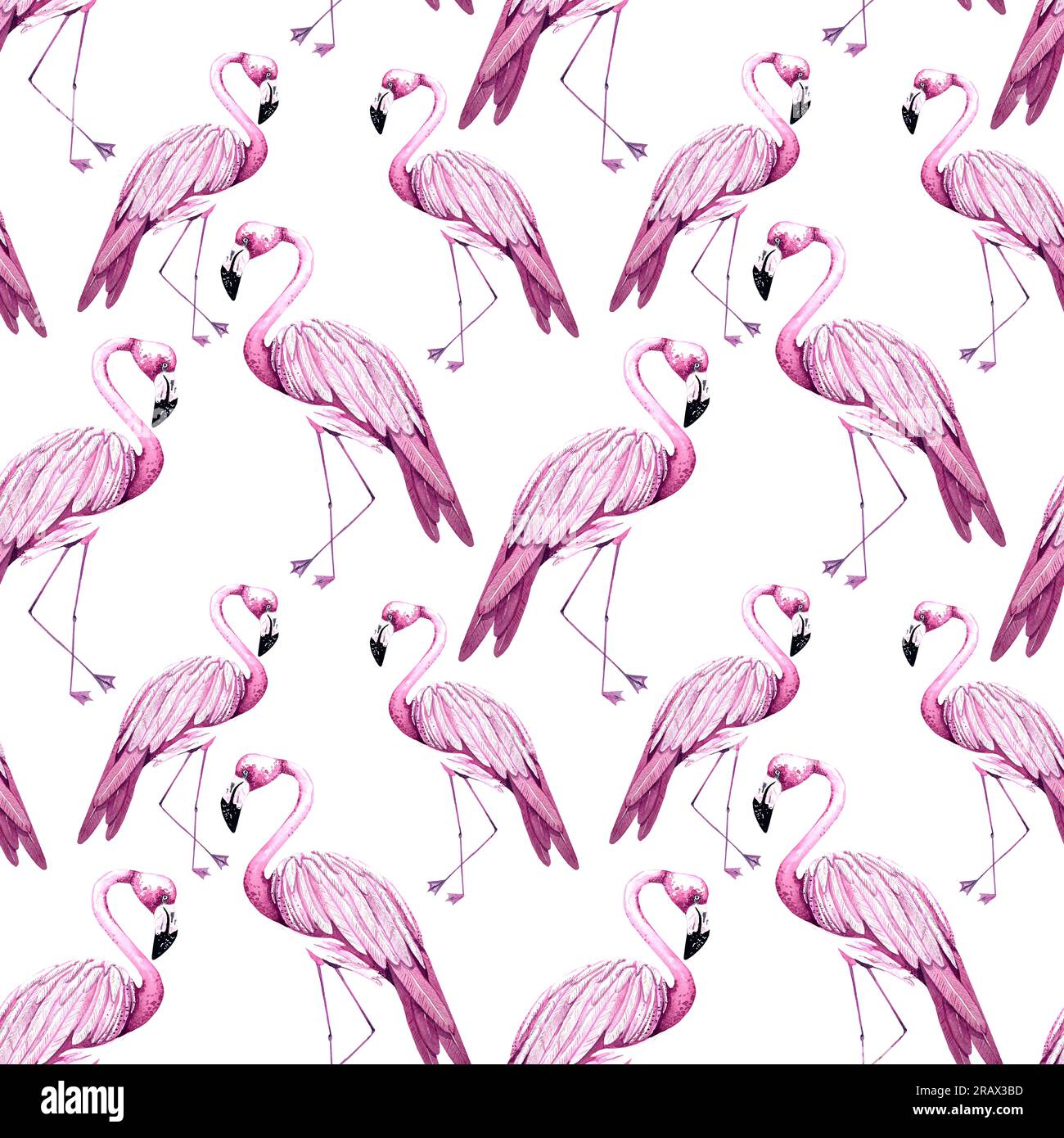 Flamingo-Muster. Wasserfarbenes tropisches Muster von Flamingos auf weißem Hintergrund. Muster für das Design von Verpackungen, Karten, Einladungen, Fabr Stockfoto
