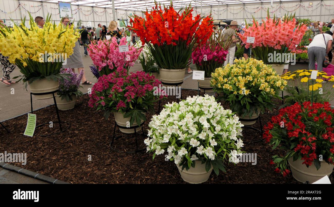 BBC Gardens Birmingham UK 2023, Stockfoto