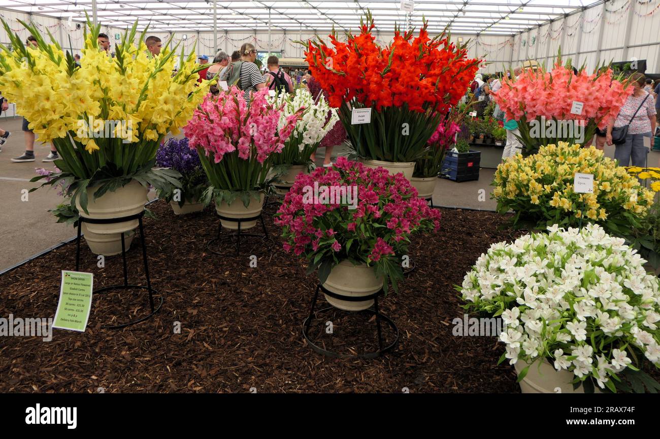 BBC Gardens Birmingham UK 2023, Stockfoto
