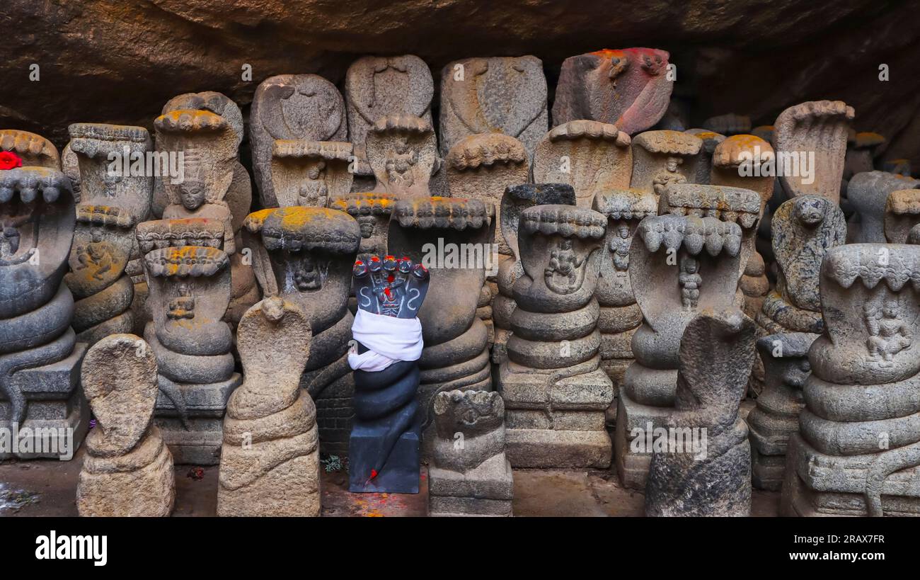 Steinskulpturen von Nagas im Sathyagiriswara Rock Cut Cave Shiva Tempel und Festung von Thirumayam Fort, Pudukottai, Tamilnadu, Indien. Stockfoto
