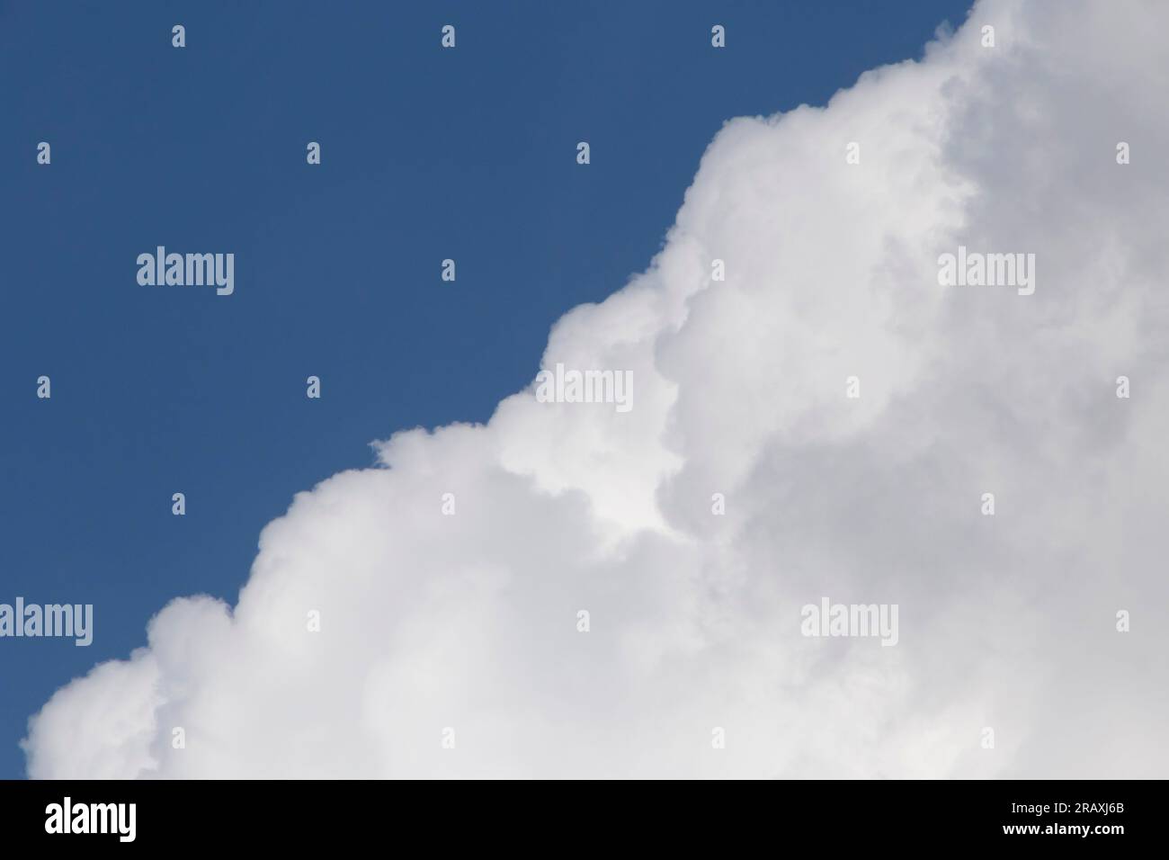 Nahaufnahme von weißer, flauschiger Wolke vor klarem blauen Himmel Stockfoto