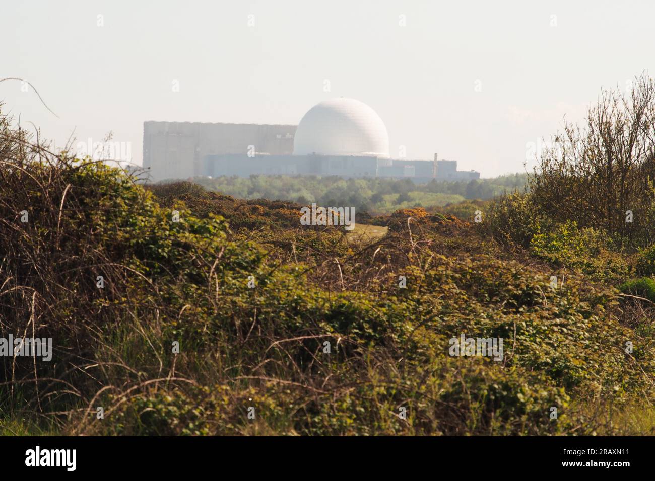 Blick auf das Kernkraftwerk Sizewell von Minsmere, Suffolk. UK Stockfoto