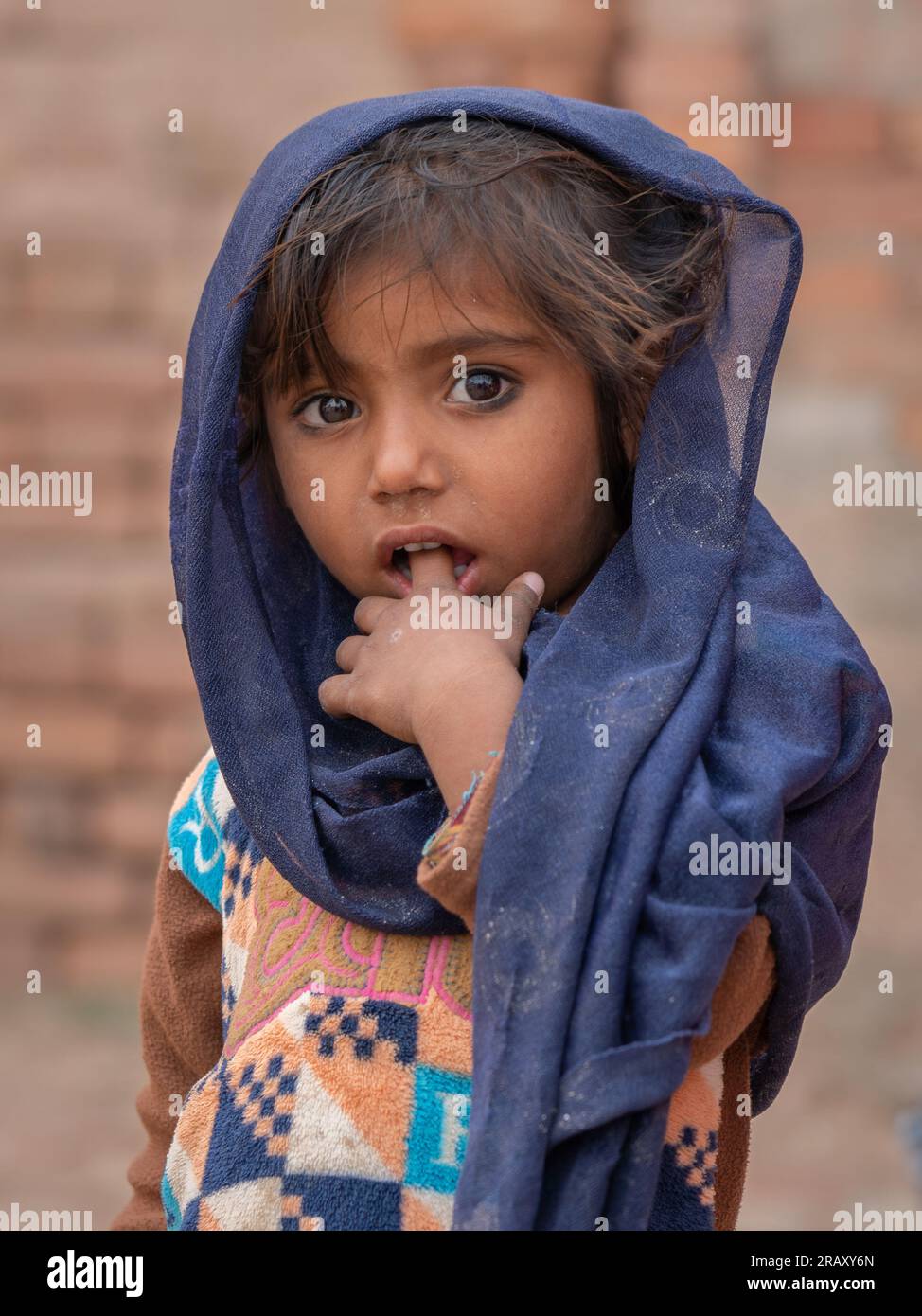 Halbkörperporträt eines schüchternen kleinen Mädchens mit indigo-blauem Schleier auf natürlichem Hintergrund Stockfoto