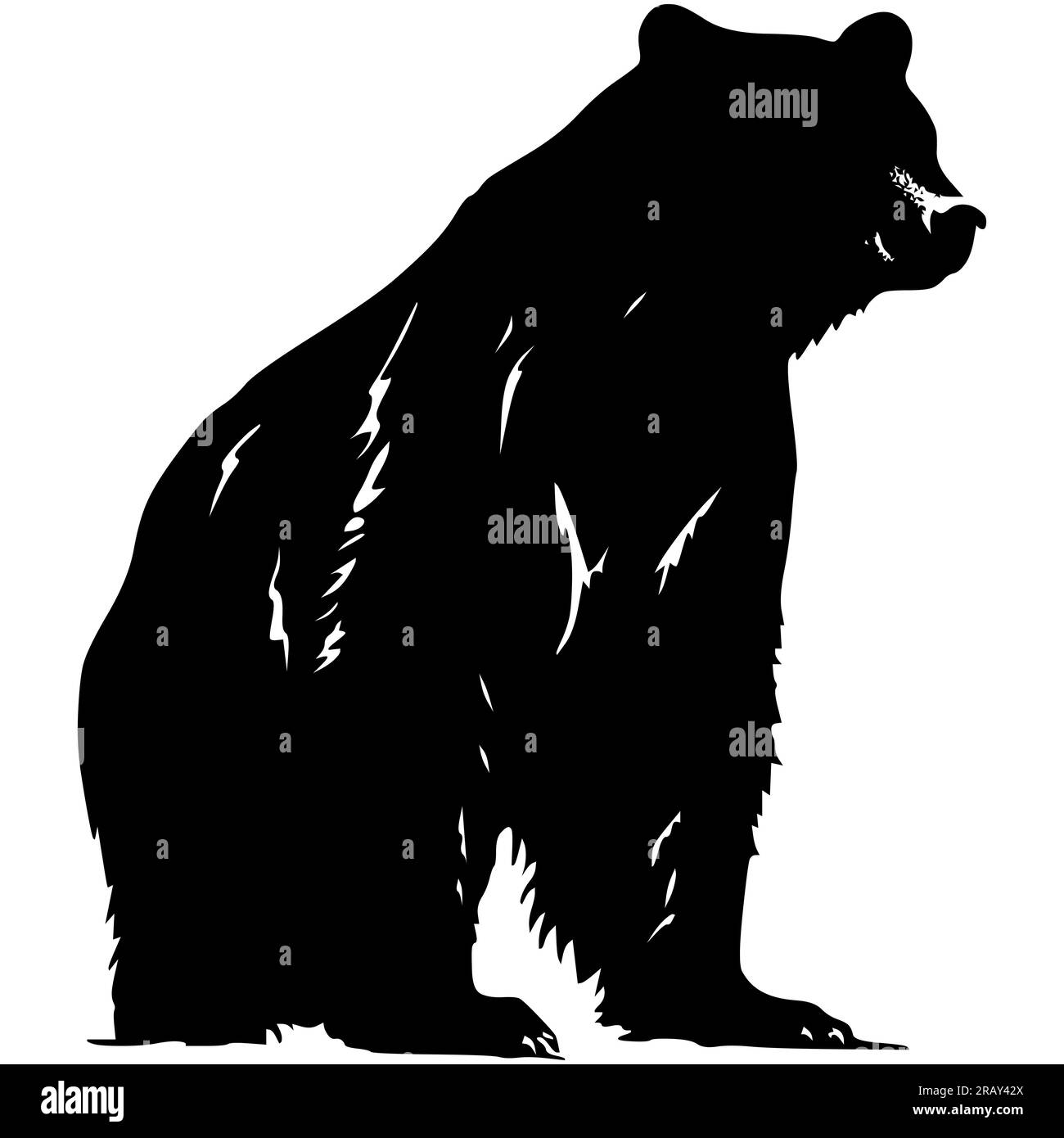 Bär, handgezeichnete Silhouette . Vektor auf weißem Grafikelement isoliert. Symbol für wilde Tiere. Retro-Design. Stock Vektor