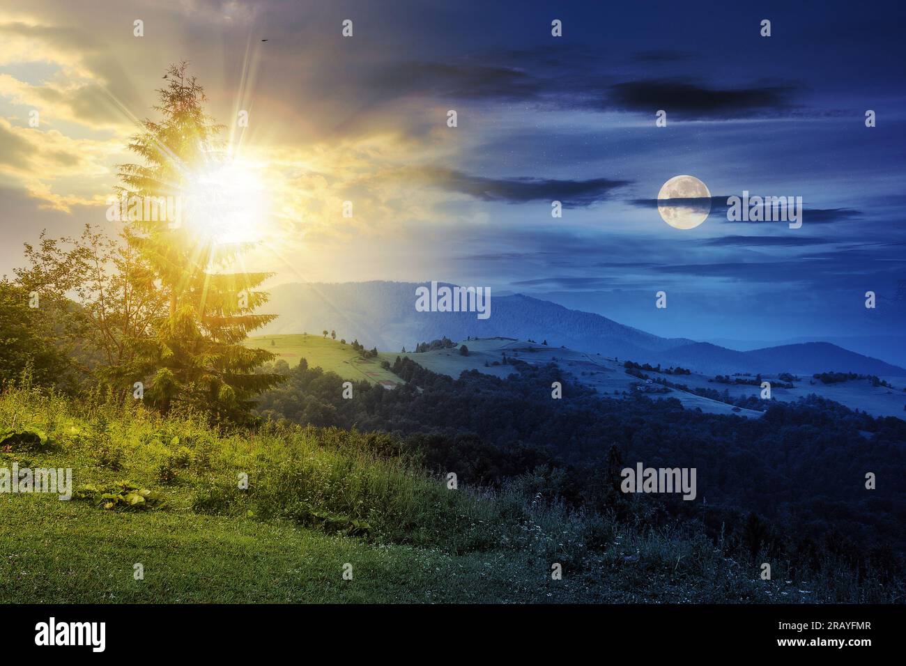 Tag- und Nachtzeit-Änderungskonzept. Tannenbaum am Rand der Lichtung in Bergen mit Sonne und Mond in der Dämmerung Stockfoto