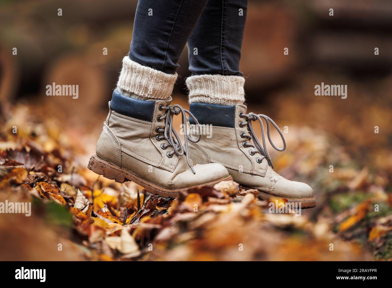 Wanderstiefel aus Leder mit Stricksocken. Wandern im Herbstwald Stockfoto