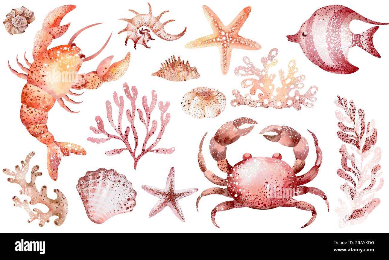 Set von Unterwassertieren Tintenfische, Seepferdchen, Krabben, Seesterne, Quallen. Meeresbewohner der Unterwasserwelt. Tierelemente isolieren Stockfoto