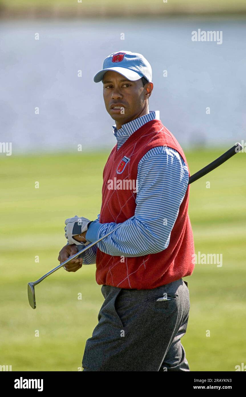 Golfer des US-Teams Tiger Woods beim Ryder Cup 2010 im Celtic Manor in Newport, Großbritannien. Anmerkung: Nur zur redaktionellen Verwendung Stockfoto