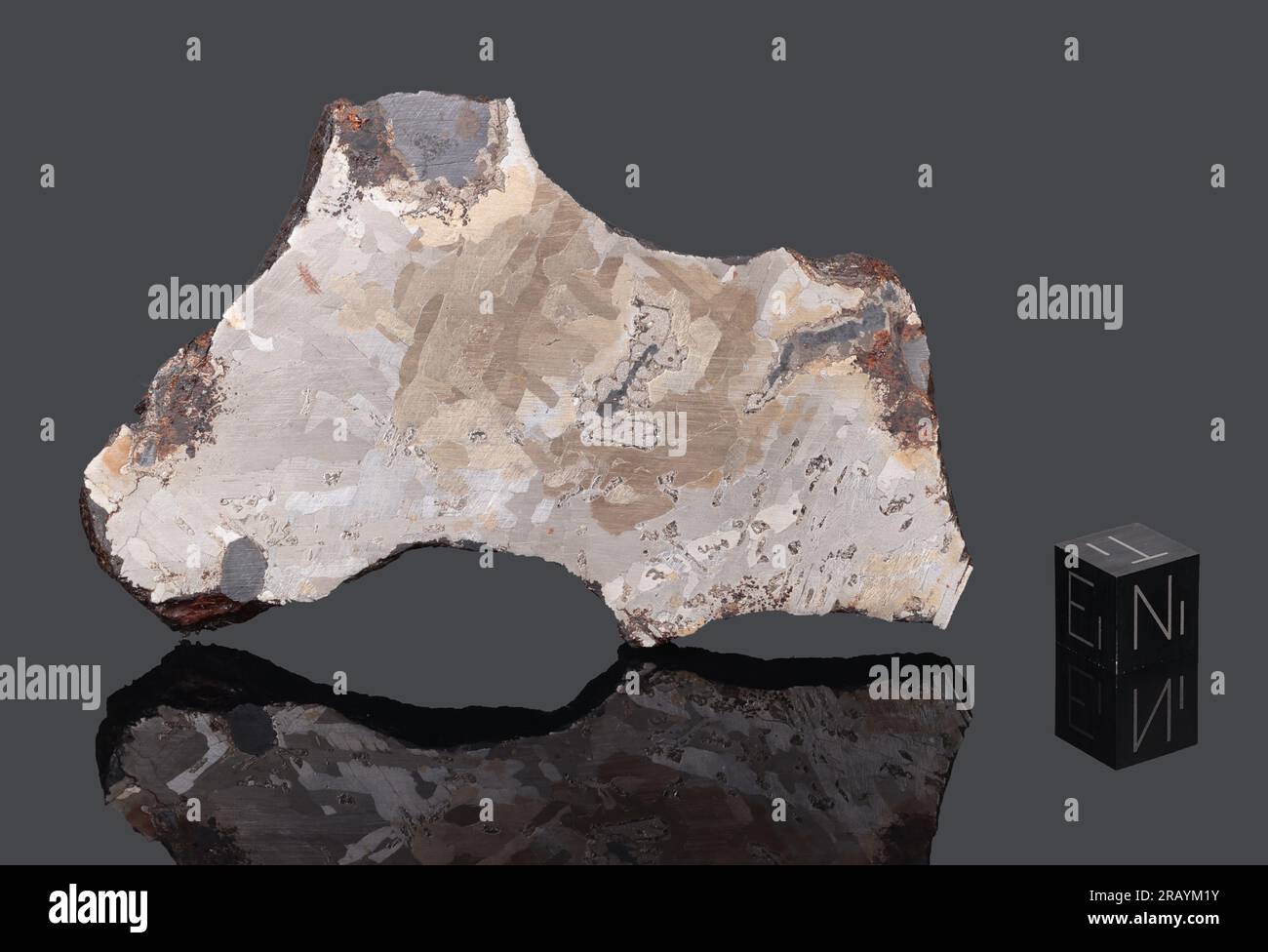 ODESSA - gegründet 1922, Ector County, Texas, USA. Eisenoxidrite IAB. Zurückgewonnene Gesamtmasse 1,6 Tonnen. Stockfoto