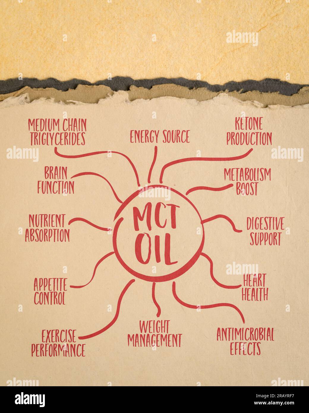 MCT-Öl und seine gesundheitlichen Vorteile - Infografiken oder Mindmap-Skizze auf Kunstpapier, gesundes Esskonzept Stockfoto