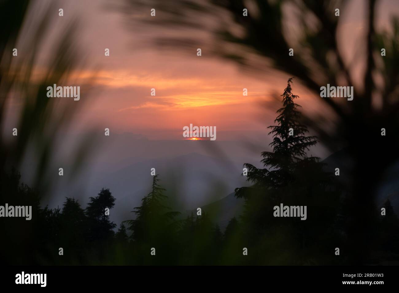 Goldene Stunde im Himalaya: Die Sonne geht unter und wirft den orangefarbenen Himmel. Kiefernsilhouetten schmücken die landschaftliche Schönheit von Uttarakhand. Indien Stockfoto