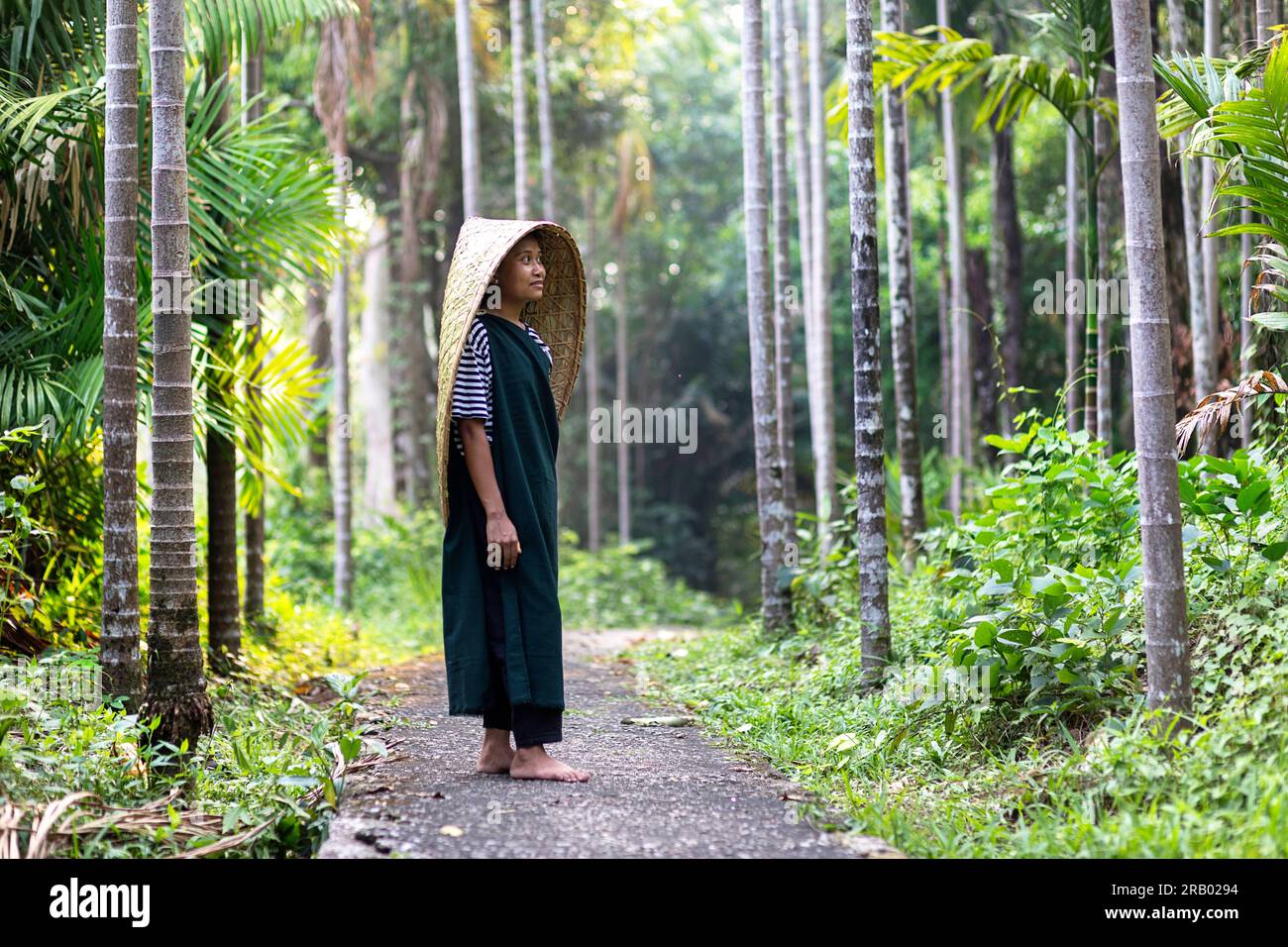 Ein Mdchen aus dem khasi-Stamm in traditioneller Kleidung mit  traditionellem Regenschutz aus Bambus, zwischen Betelnusspalmen, Meghalaya,  Indien Stockfotografie - Alamy