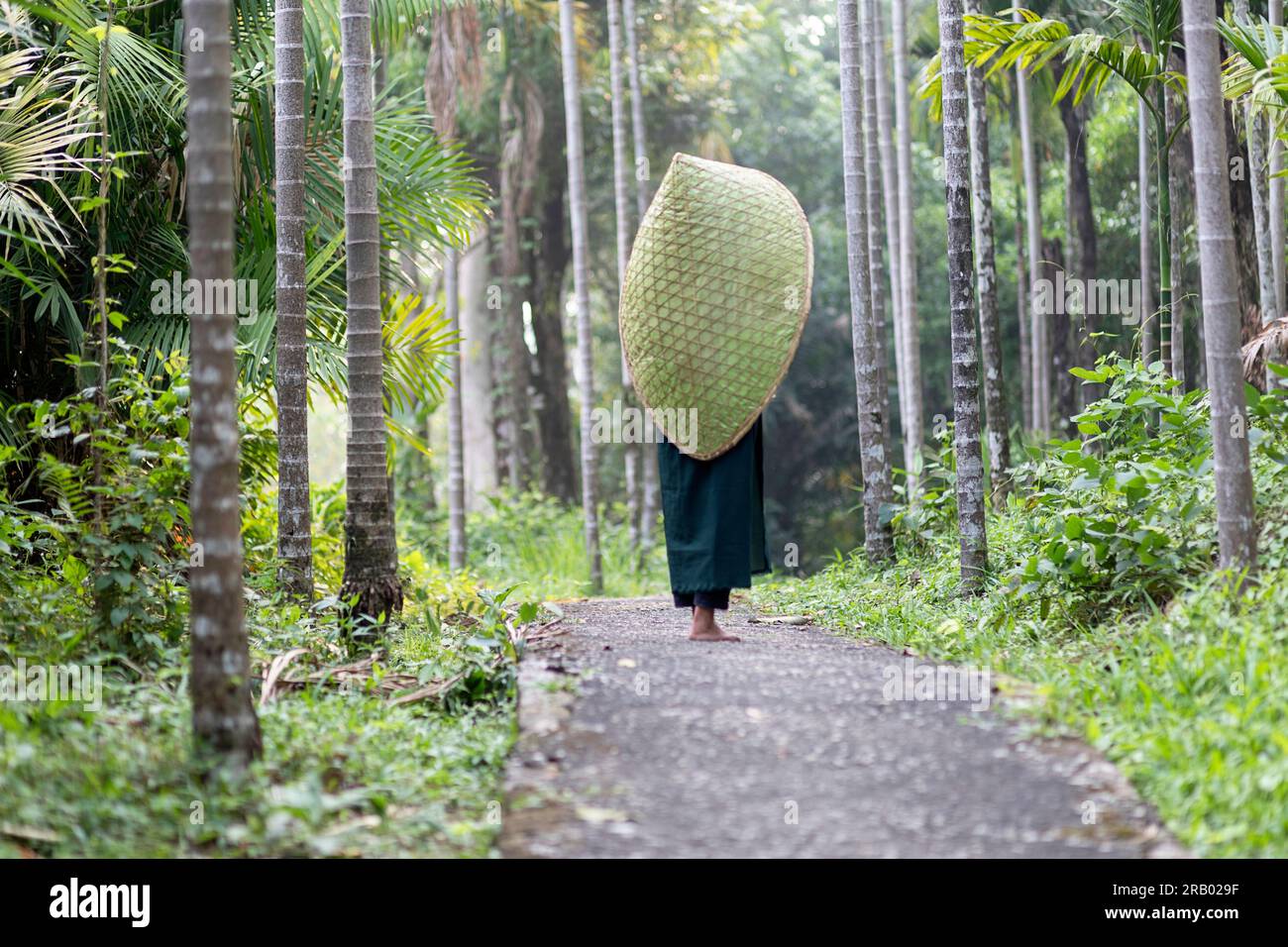 Frau aus dem Khasi-Stamm mit traditionellem Bambushut auf dem Kopf, mitten in Betelnusspalmen in der Nähe des Dorfes Riwai in Meghalaya, Indien Stockfoto