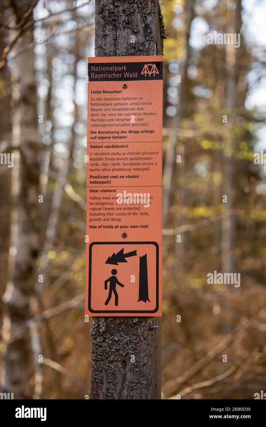 „Nutzung von Pfaden auf eigenes Risiko!“ Ein Schild warnt Wanderer und Radfahrer vor der Gefahr des Baumsturzes im Bayerischen Wald-Nationalpark. Stockfoto