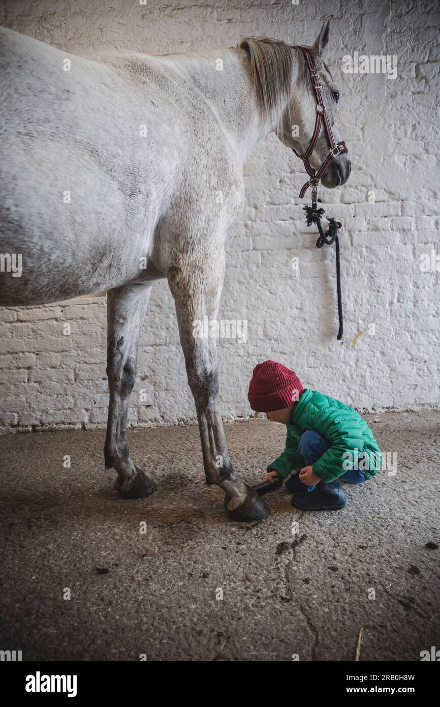 Ein Junge mit Pferd im Stall Stockfoto