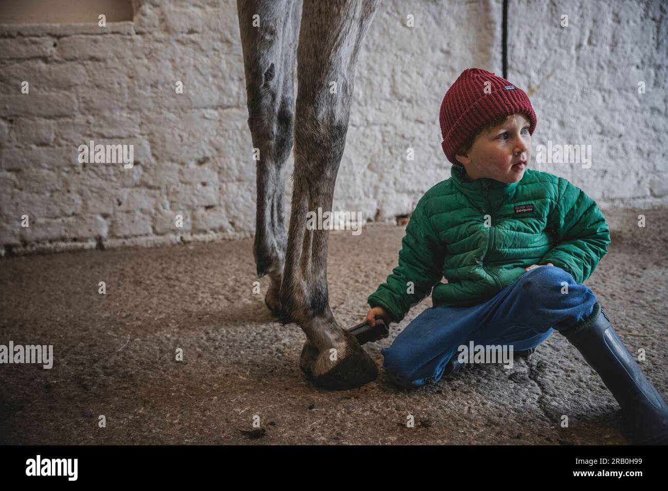 Ein Junge mit Pferd im Stall Stockfoto