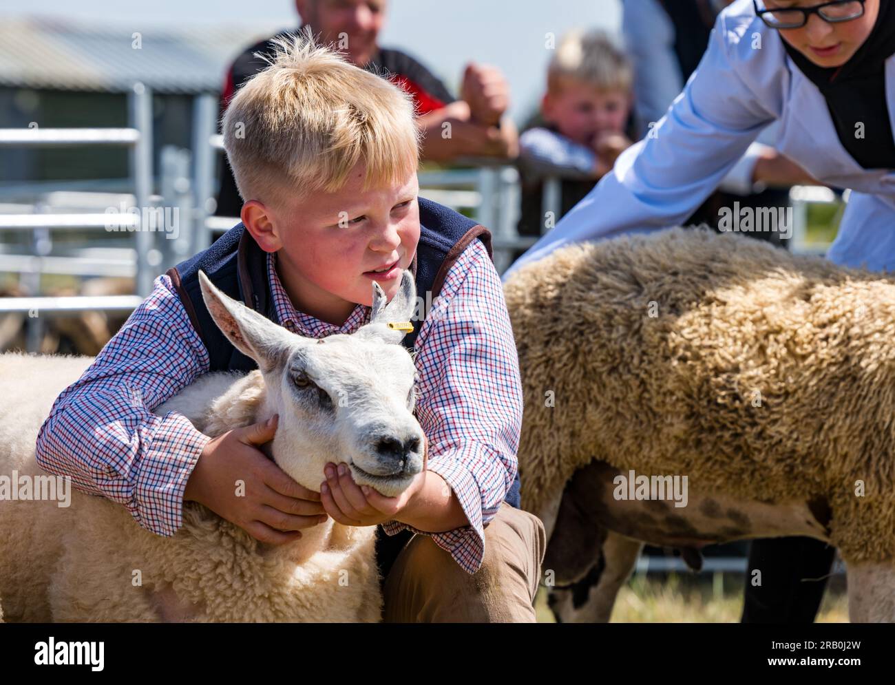 Kind in jungen Schafzüchtern, Jurastagung, Haddington Agricultural Show, East Lothian, Schottland, Großbritannien Stockfoto