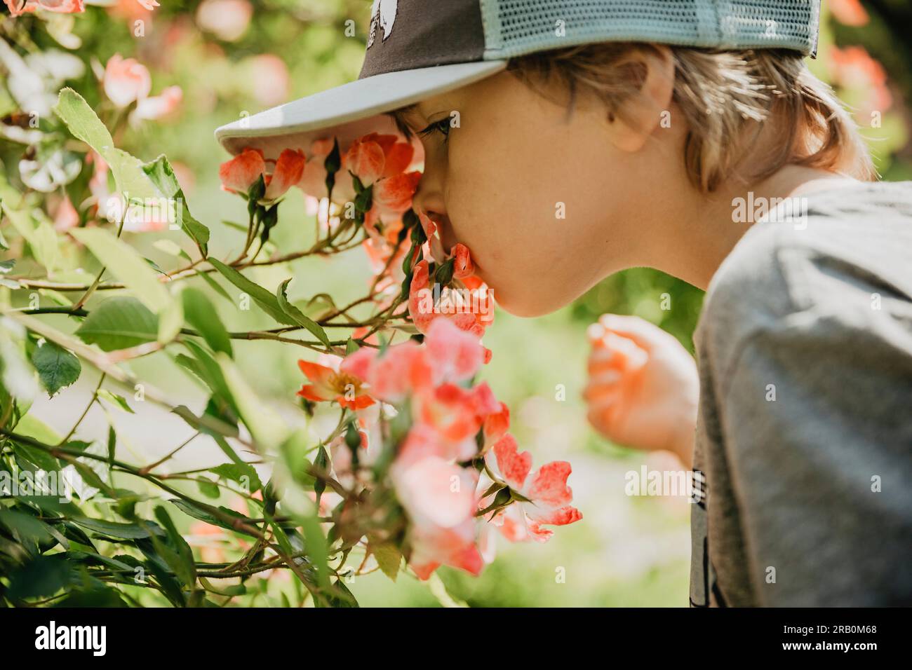 Der Junge riecht nach Blumen Stockfoto