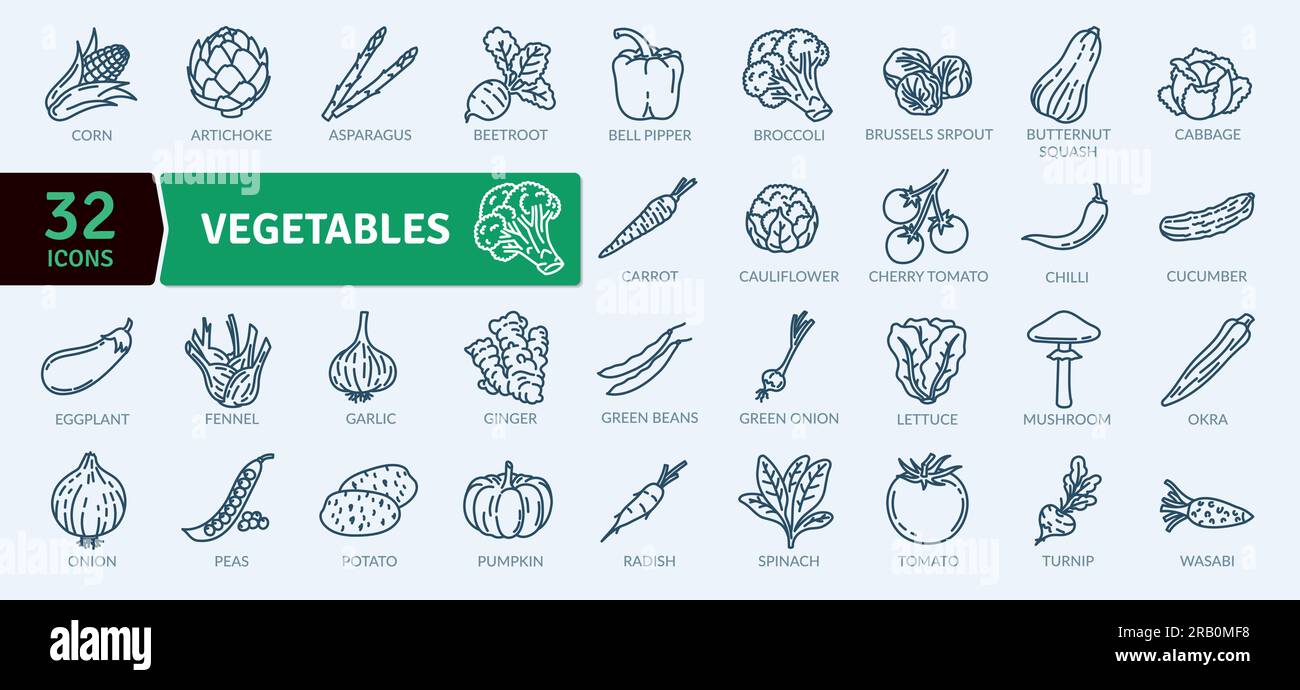 Symbole für frisches und saftiges Gemüse. Collection für Zeilensymbole festgelegt. Einfache Vektorsymbole Stock Vektor