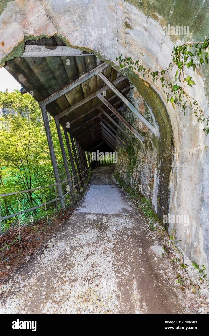 Italien Veneto ( BL ) See Senàiga - Wanderweg um den See Stockfoto