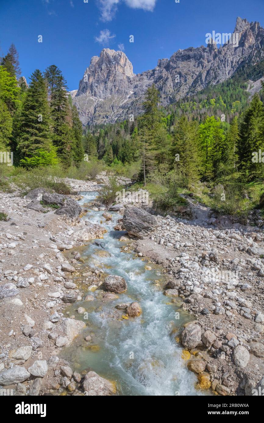 Italien, Trentino, Primiero San Martino di Castrozza, das untere Val Pradidali, im Hintergrund Cima Canali, Pale di San Martino Gruppe, Dolomiten Stockfoto