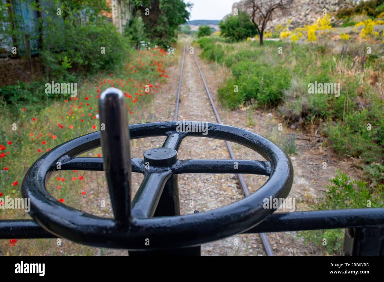 Laguna del Campillo, Rivas Vaciamadrid, El Tren de Arganda oder Tren de la Poveda in Arganda del Rey, Madrid, Spanien. 1990 eine Gruppe von rai Stockfoto