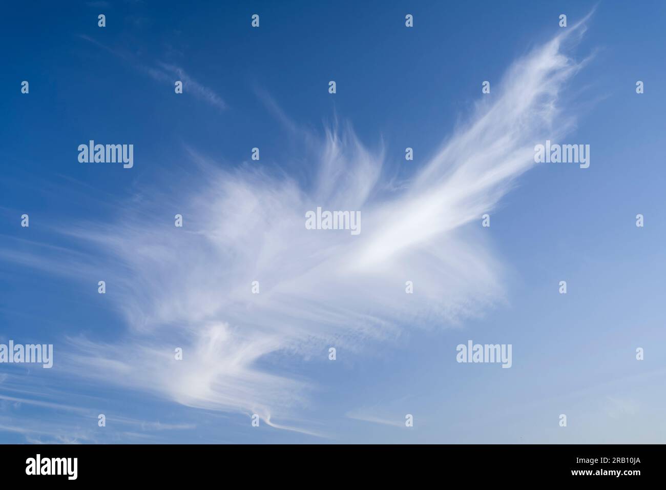 Cirrus Wolke und blauer Himmel, Deutschland Stockfoto