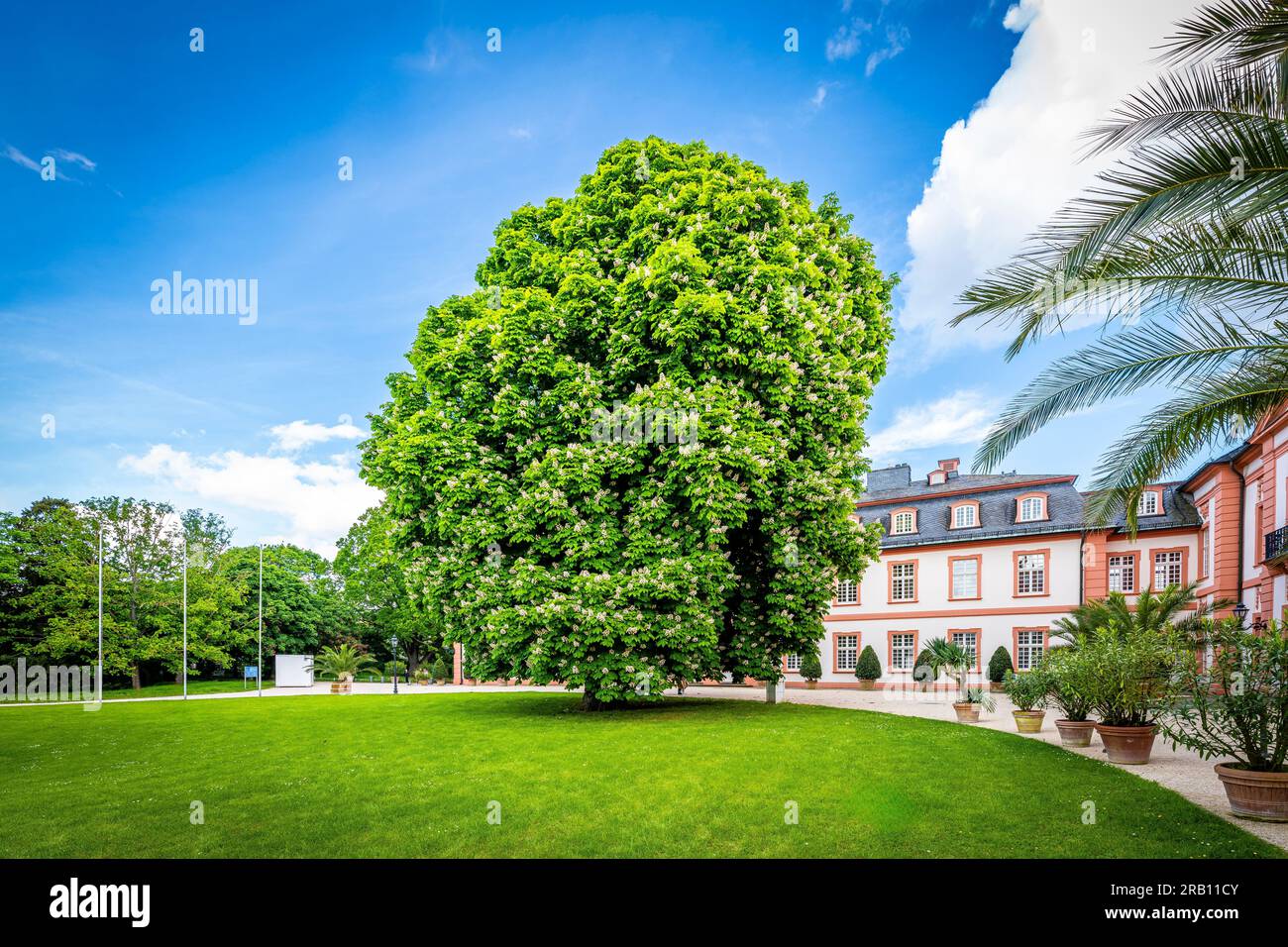 Schlosspark in Wiesbaden-Biebrich, barocke Residenz der Herzöge von Nassau mit einem großen Park, in dem die berühmten Showjumping-Turniere in Whitsun stattfinden Stockfoto