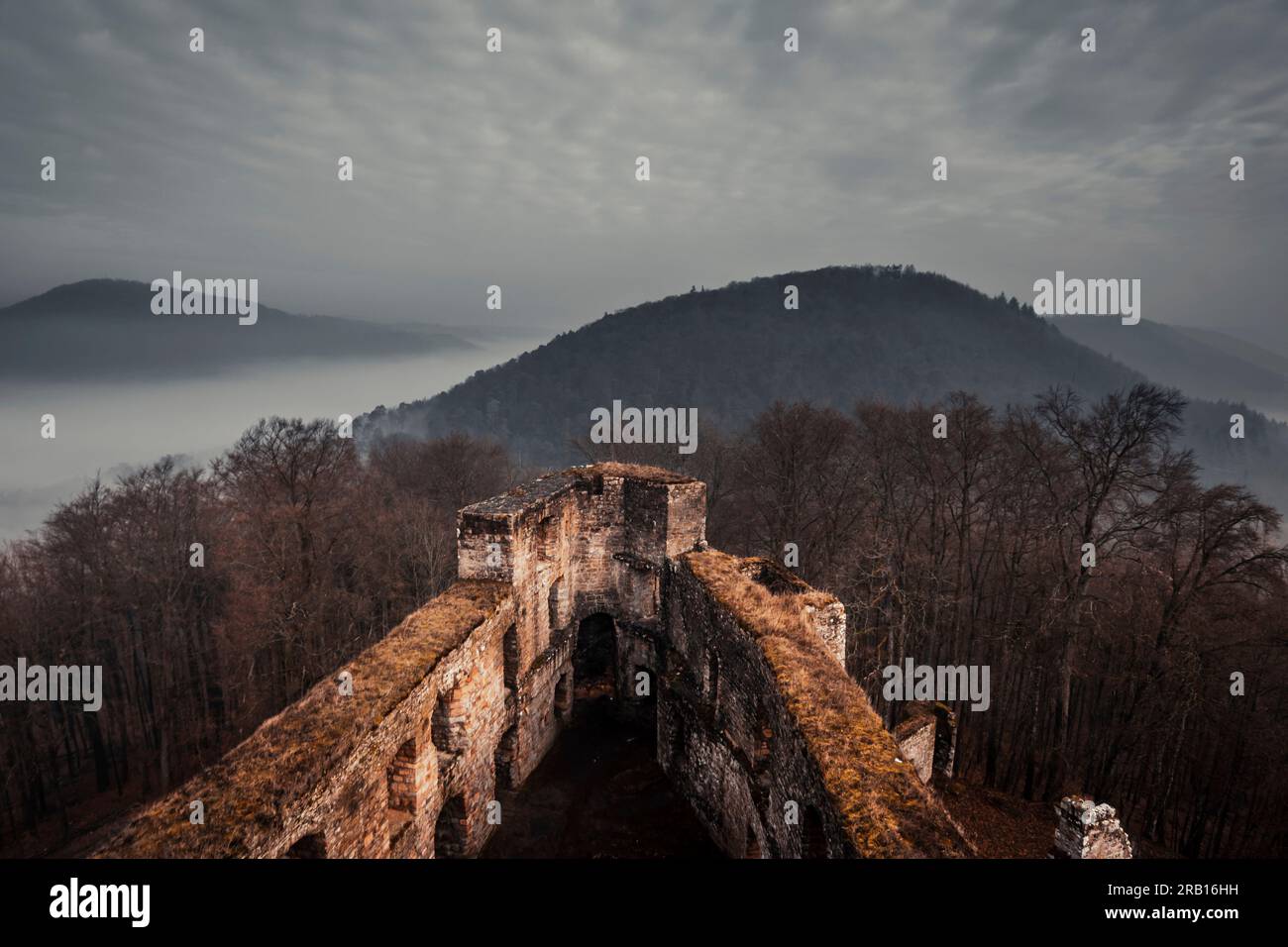 Burgruine von oben, Winter, Nebel, Pfalz-Wald, Deutschland Stockfoto